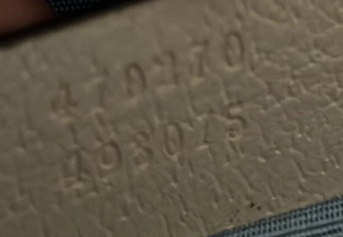 Sylvie Top Handle Bag Printed Leather Mini - Deep Luxury