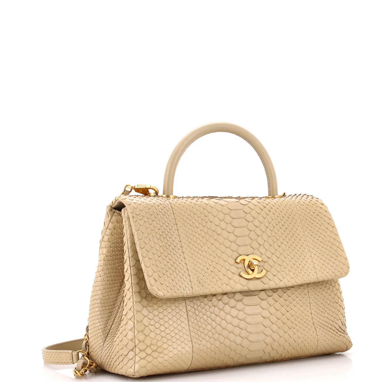 Coco Top Handle Bag Python Medium - Deep Luxury
