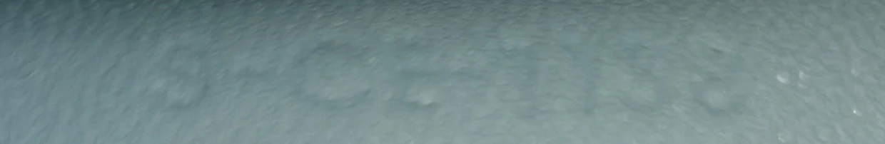 Clasp Crossbody Bag Lizard Mini - Deep Luxury