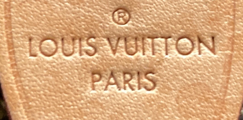 Speedy Bandouliere Bag Monogram Canvas 20 - Deep Luxury