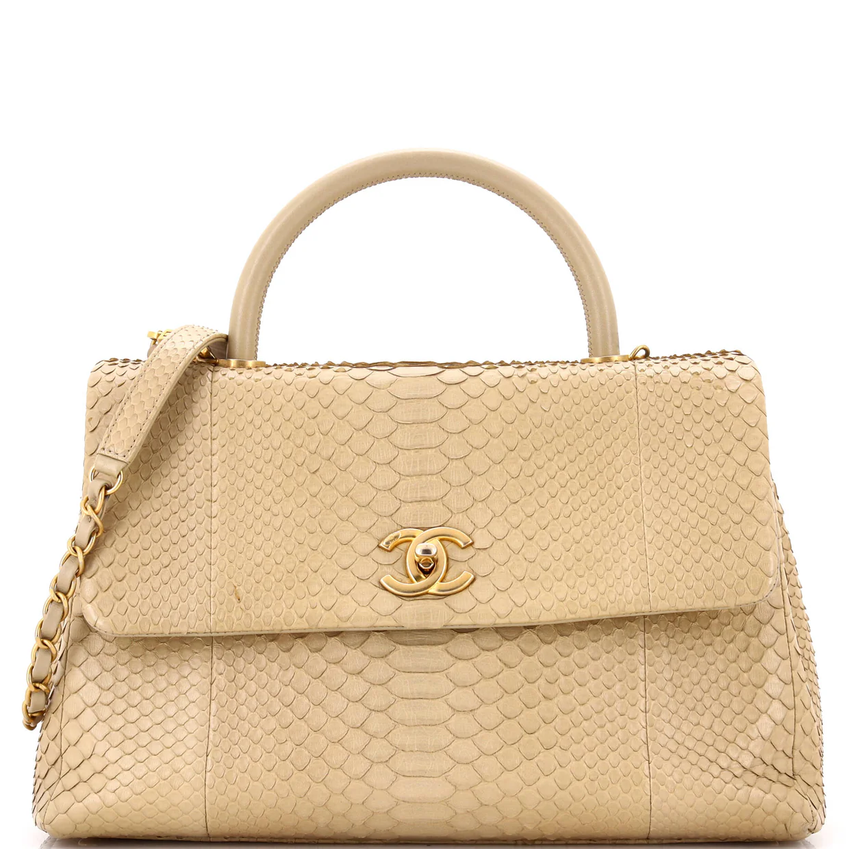 Coco Top Handle Bag Python Medium - Deep Luxury