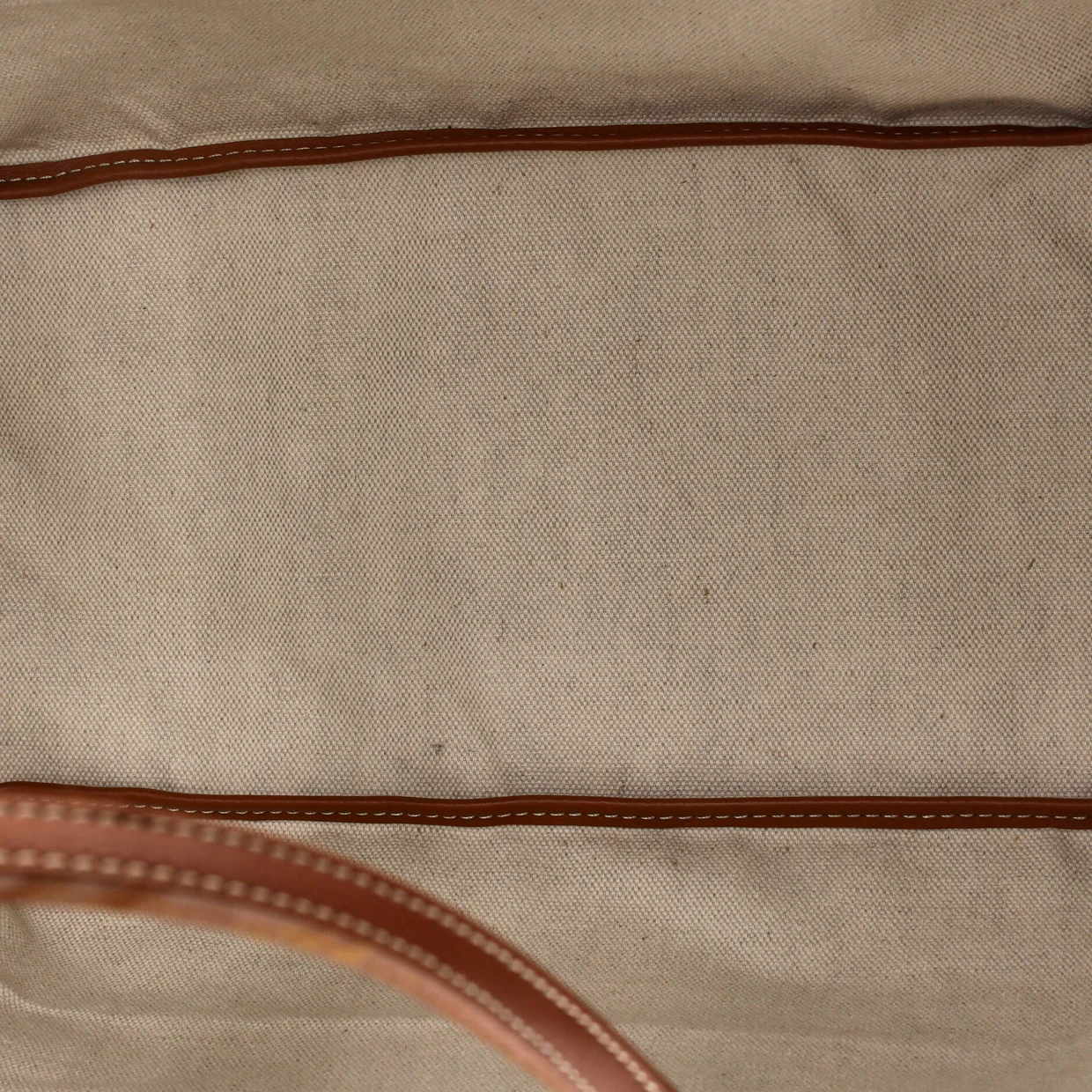 Saint Louis Tote Coated Canvas PM - Deep Luxury