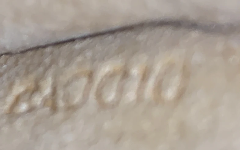 Twin Handbag Monogram Canvas GM - Deep Luxury