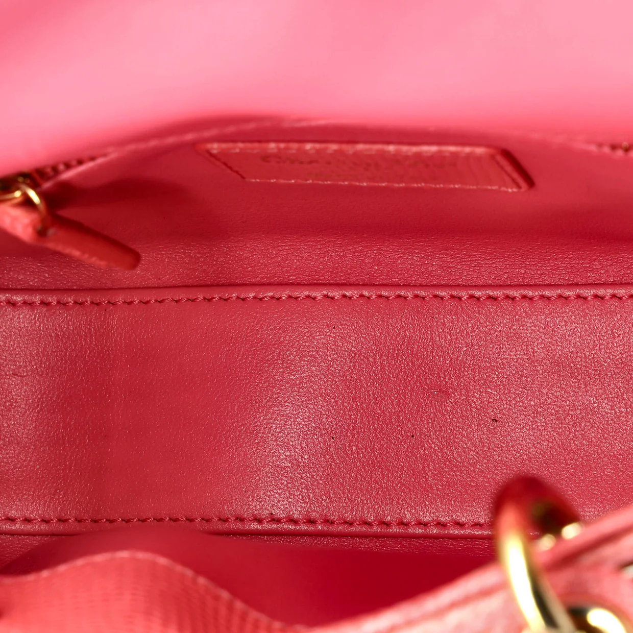 Lady Dior Chain Bag Lizard Mini - Deep Luxury