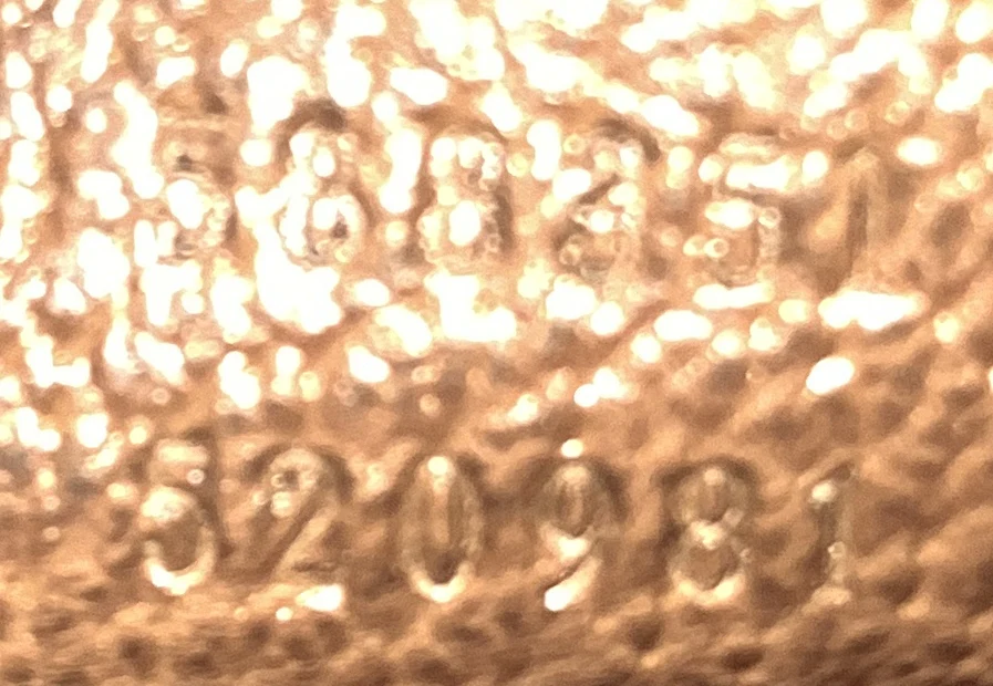 Bamboo Globe-Trotter Vanity Case GG Coated Canvas - Deep Luxury