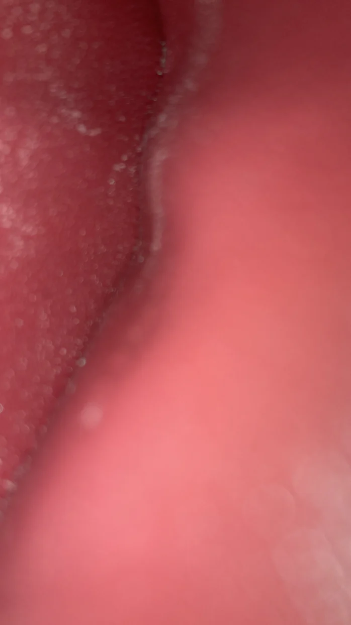 Classic Box Bag Lizard Small - Deep Luxury