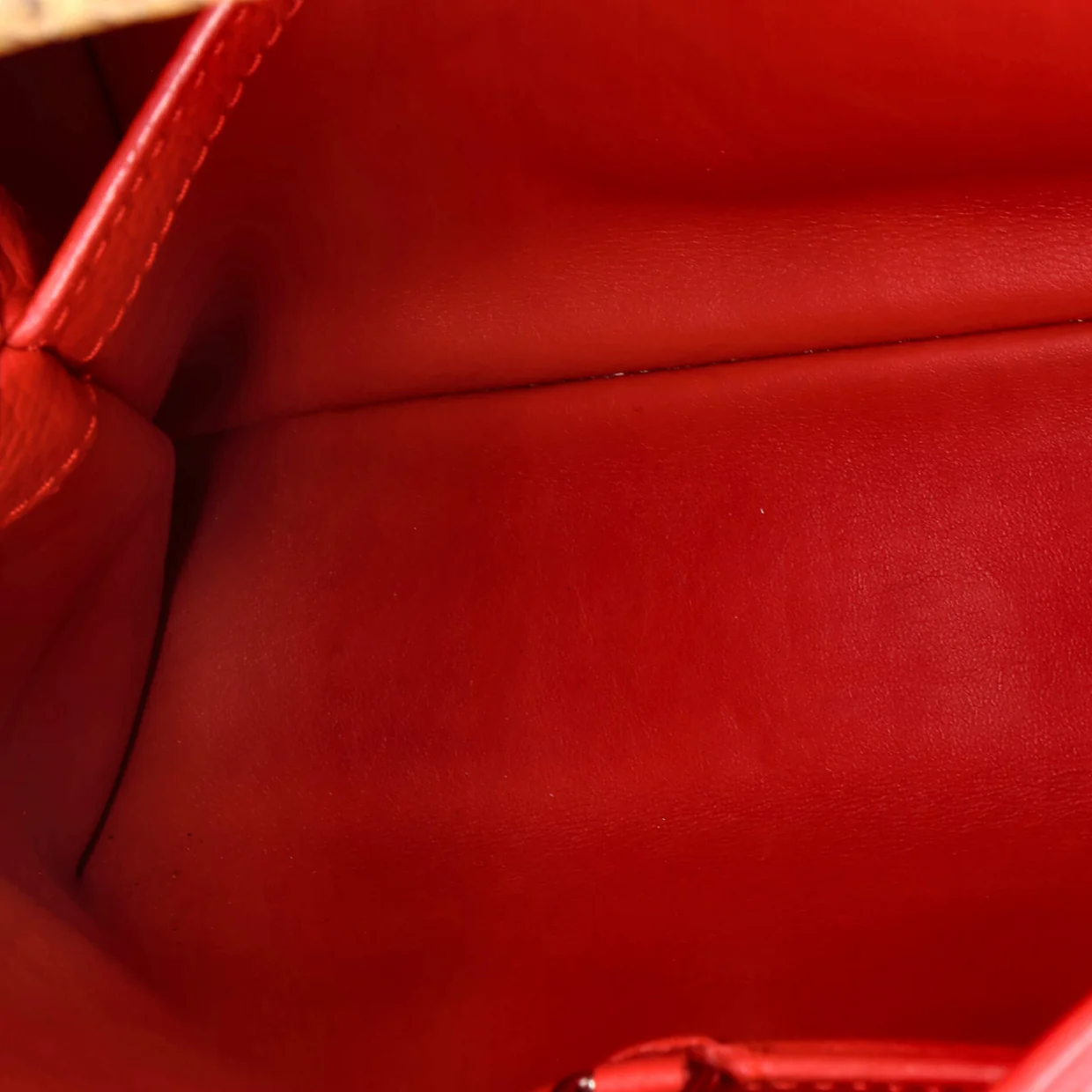 Capucines Bag Leather with Python PM - Deep Luxury