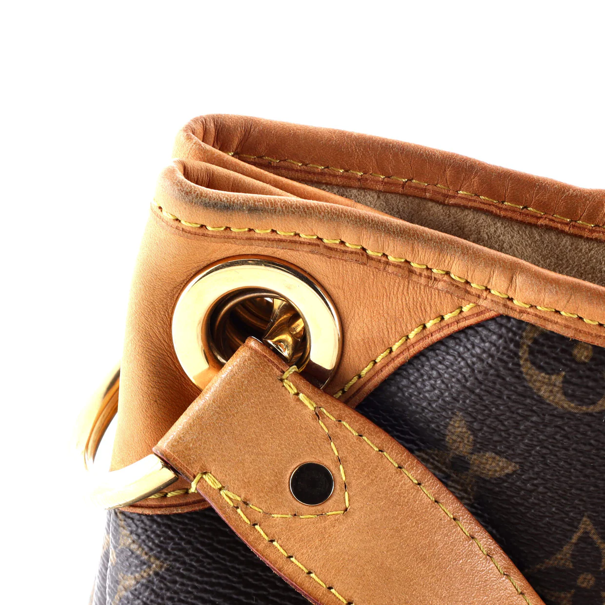 Galliera Handbag Monogram Canvas PM - Deep Luxury