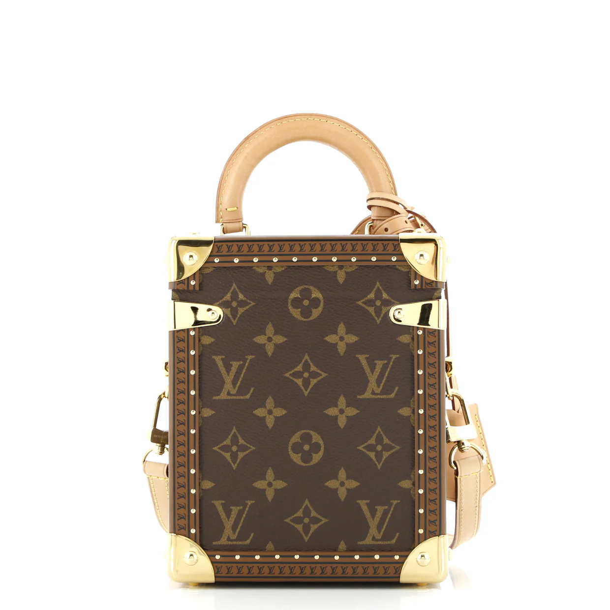 Camera Box Trunk Bag Monogram Canvas - Deep Luxury