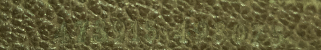 Courrier Pouch GG Coated Canvas with Applique - Deep Luxury