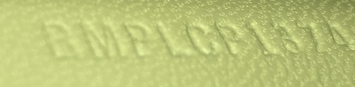 TB Flap Chain Bag Monogram Embossed Leather Small - Deep Luxury