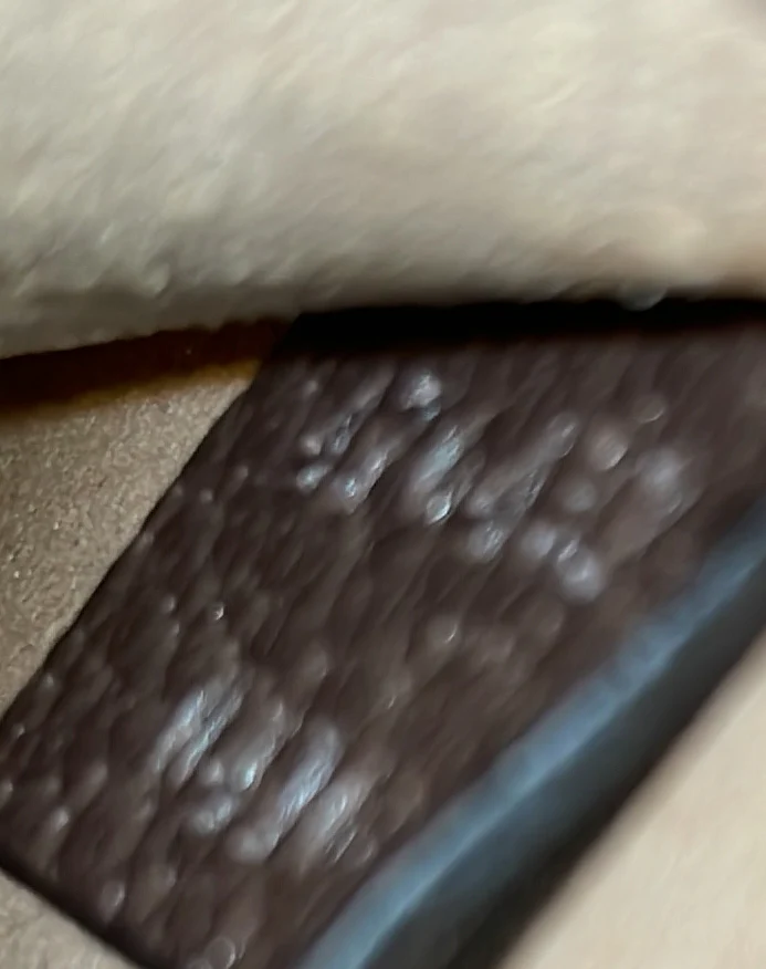 Dionysus Bag Jumbo GG Canvas Super Mini - Deep Luxury