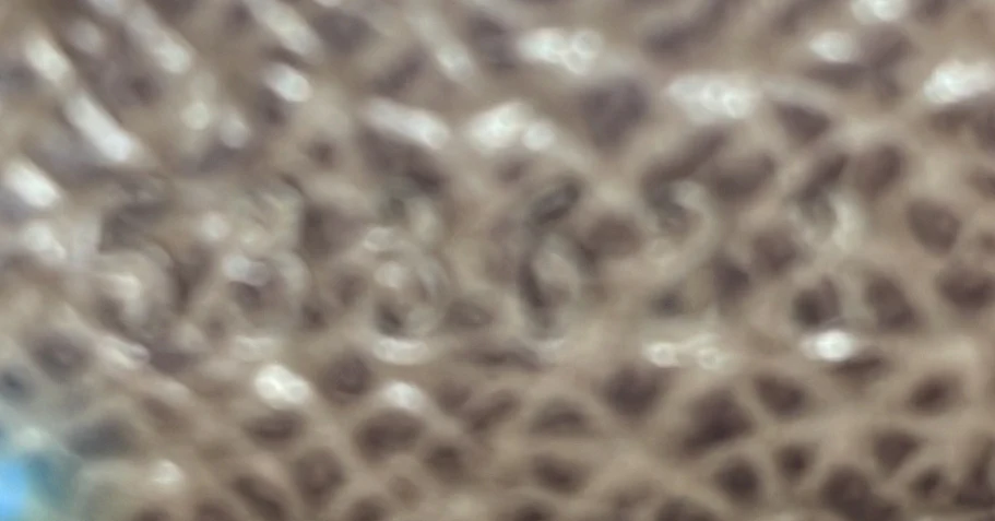 Bamboo Globe-Trotter Vanity Case GG Coated Canvas - Deep Luxury