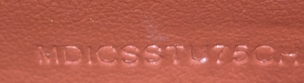 Hannah Wallet on Strap Icon Stripe E-Canvas - Deep Luxury