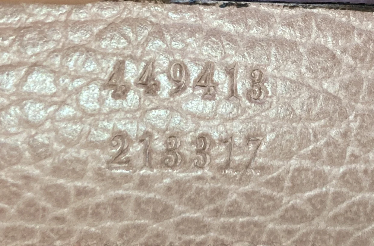 Bree Disco Crossbody Bag GG Canvas with Leather Mini - Deep Luxury