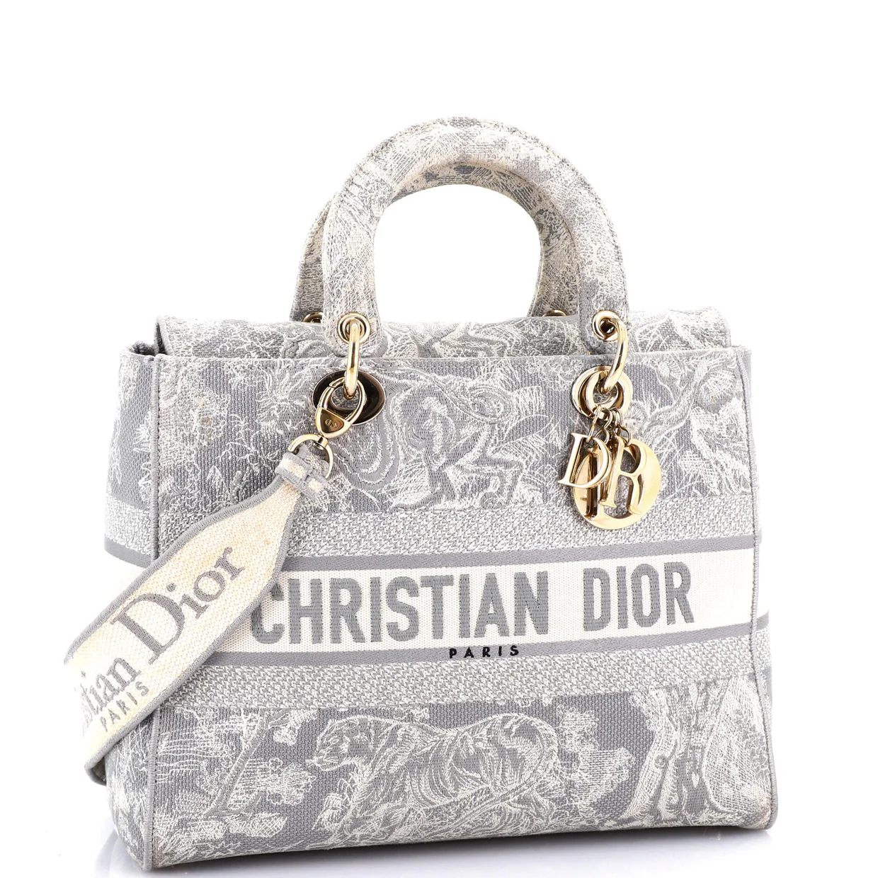 Lady D-Lite Bag Embroidered Canvas Large - Deep Luxury