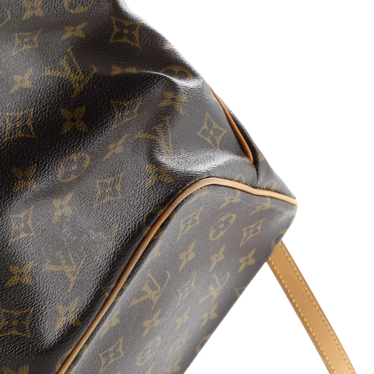 Palermo Handbag Monogram Canvas PM - Deep Luxury