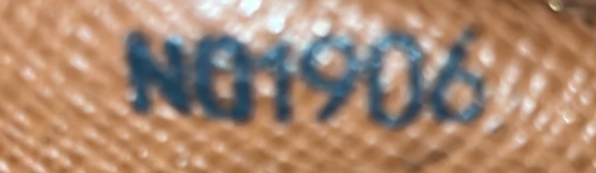 Blois Handbag Monogram Canvas - Deep Luxury