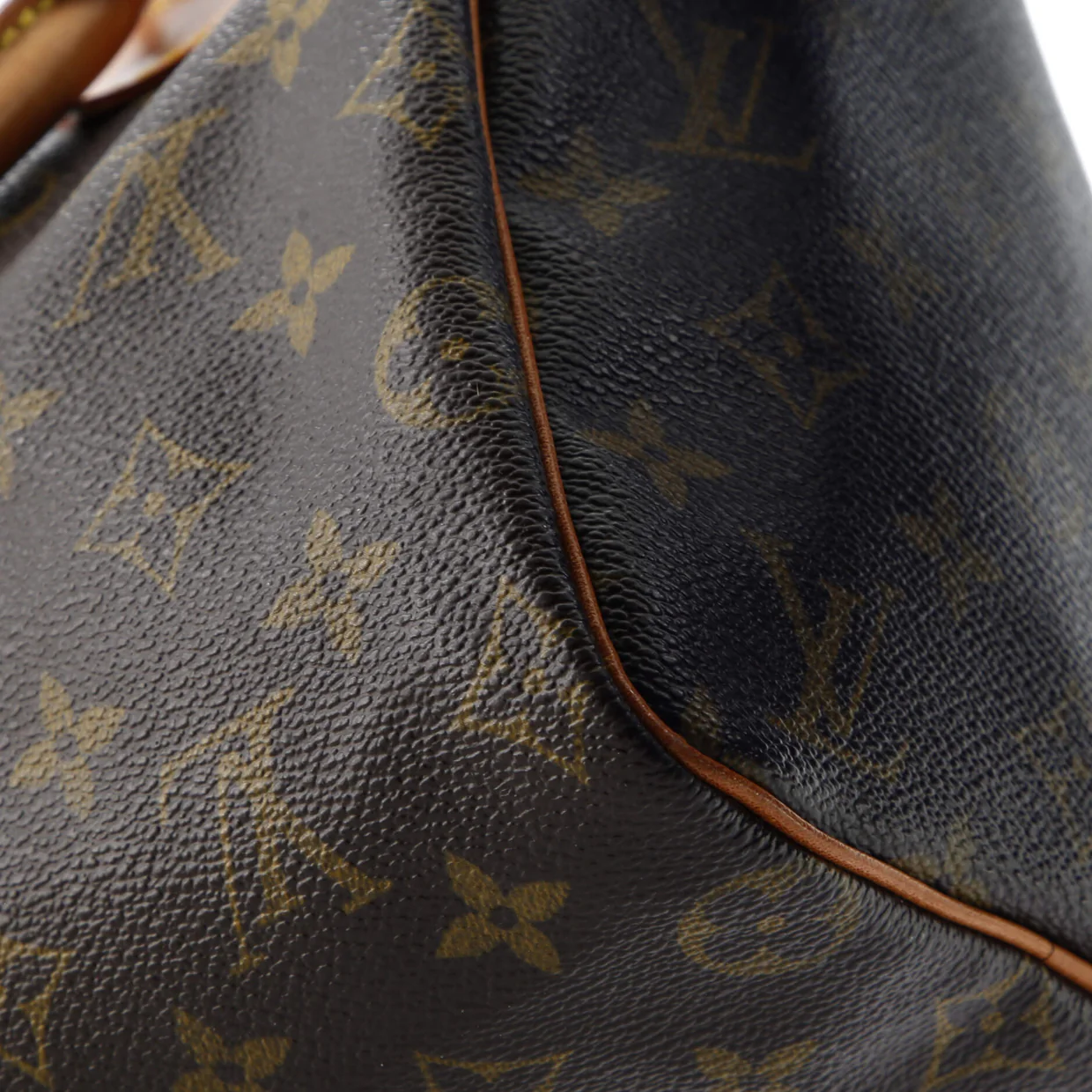 Speedy Handbag Monogram Canvas 25 - Deep Luxury