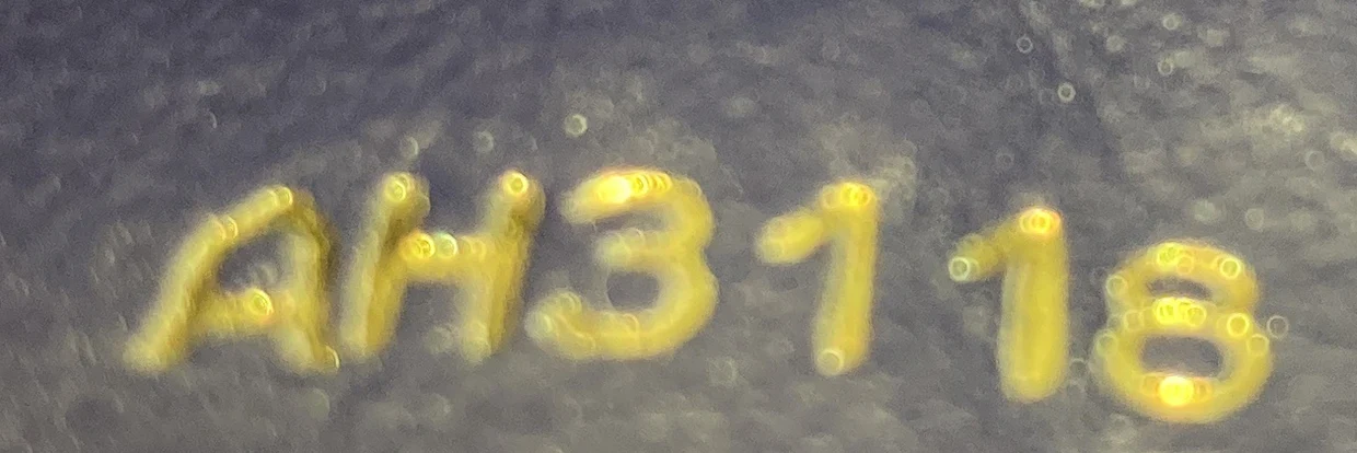 Capucines Bag Leather with Python PM - Deep Luxury