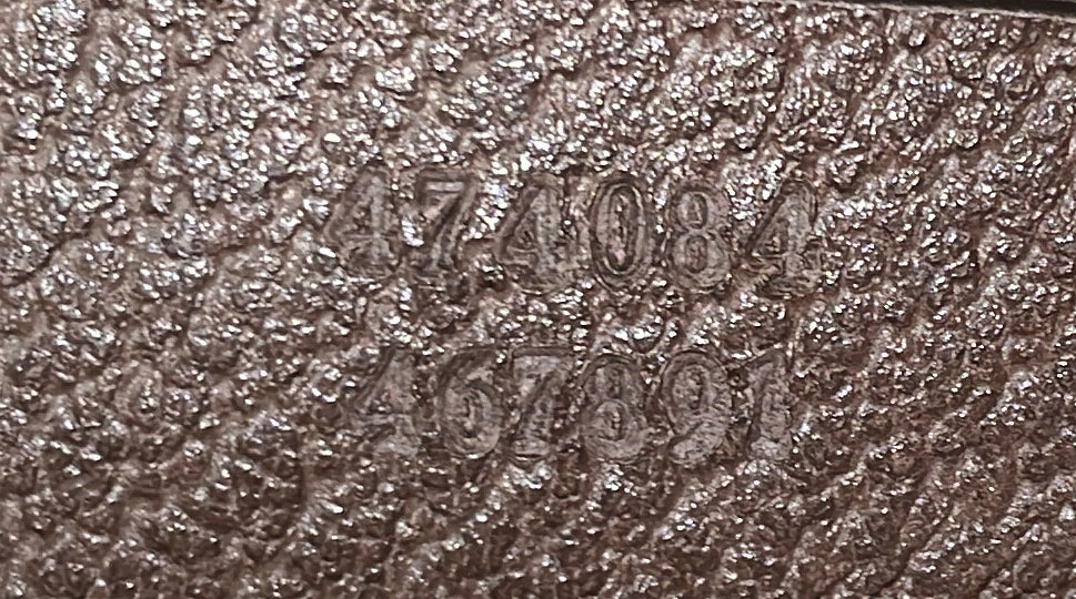 Courrier Convertible Soft Open Tote GG Coated Canvas with Applique North South - Deep Luxury