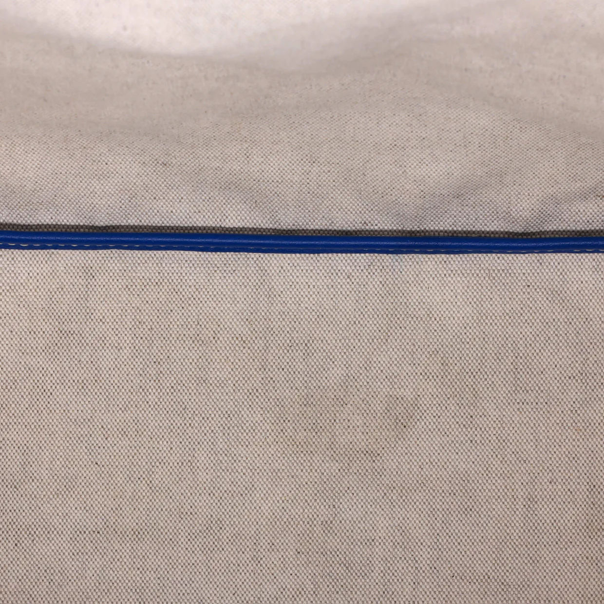 Saint Louis Tote Coated Canvas PM - Deep Luxury