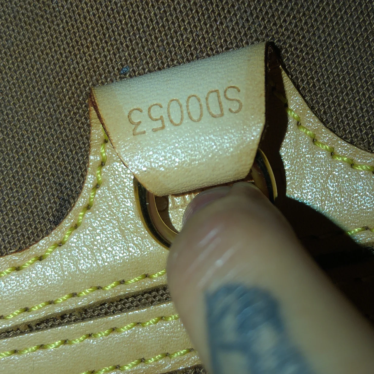 Ellipse Bag Monogram Canvas PM - Deep Luxury