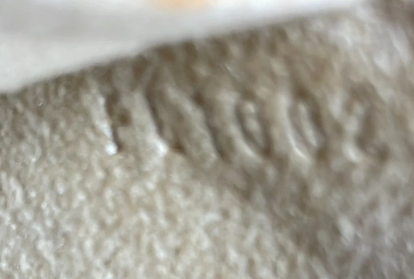 Florentine Waist Bag Monogram Canvas - Deep Luxury