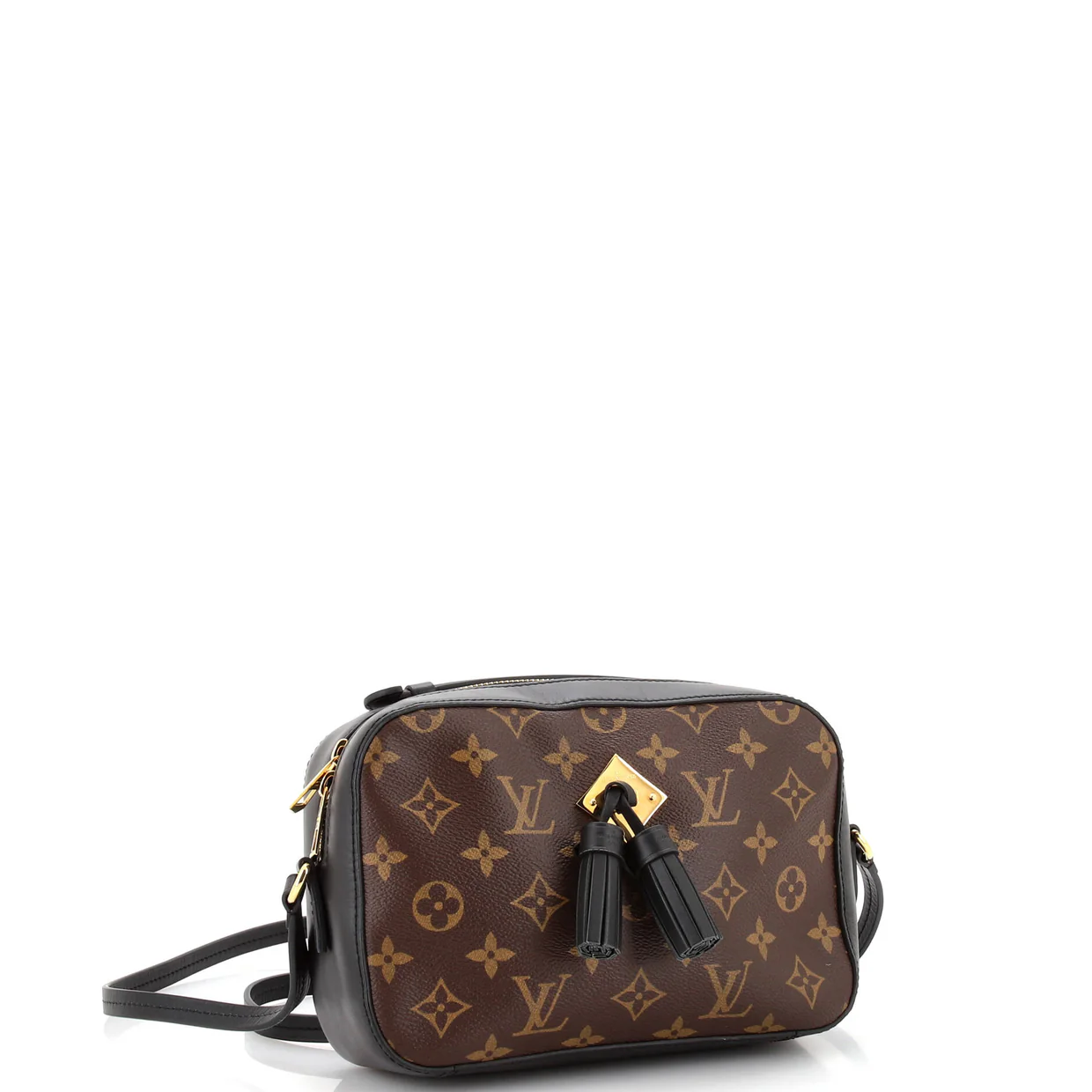 Saintonge Handbag Monogram Canvas with Leather - Deep Luxury
