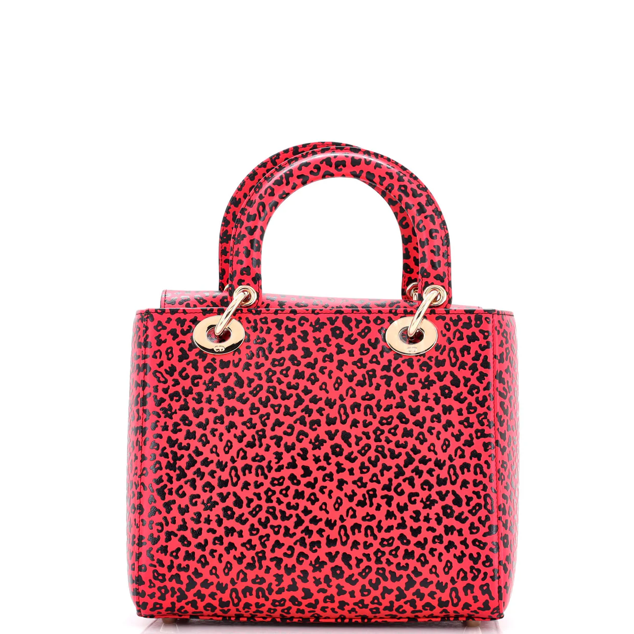 Lady Dior Bag Printed Leather Medium - Deep Luxury