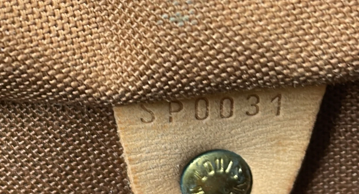 Speedy Handbag Monogram Canvas 25 - Deep Luxury