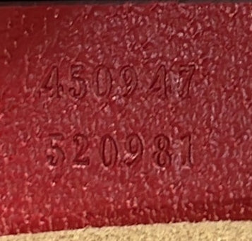 Camera Shoulder Bag Tian Print GG Coated Canvas Medium - Deep Luxury