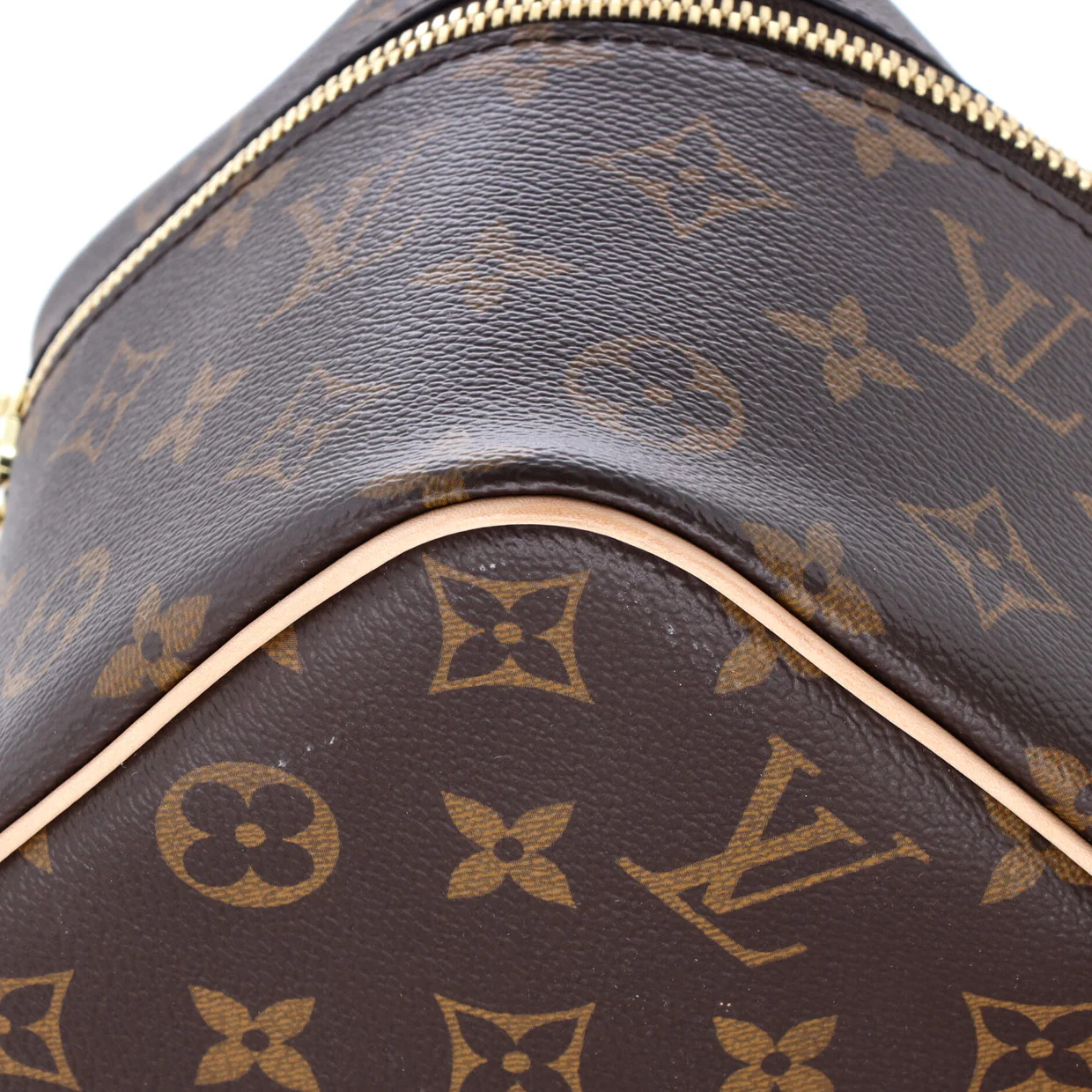 Nice Vanity Case Monogram Canvas Mini - Deep Luxury