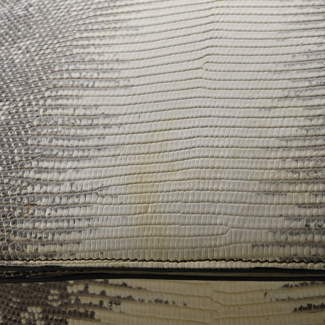 Classic Box Bag Lizard Medium - Deep Luxury