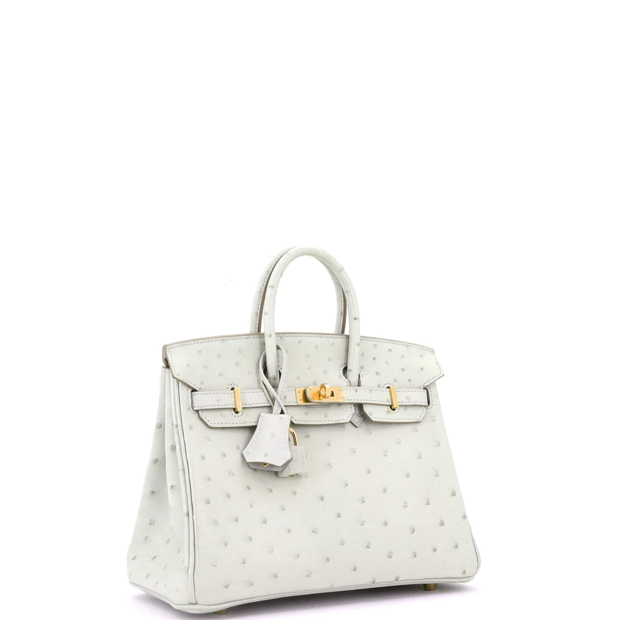 Birkin Handbag Grey Ostrich with Gold Hardware 25 - Deep Luxury