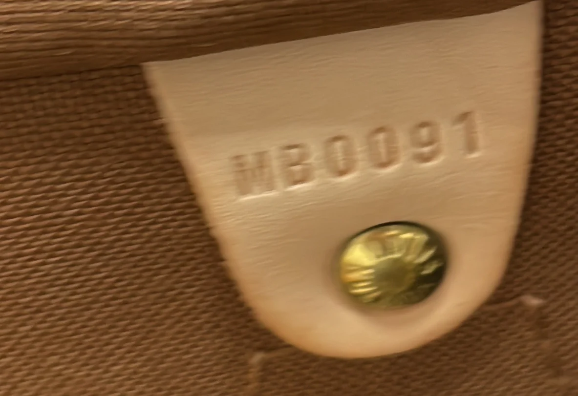 Speedy Handbag Monogram Canvas 35 - Deep Luxury