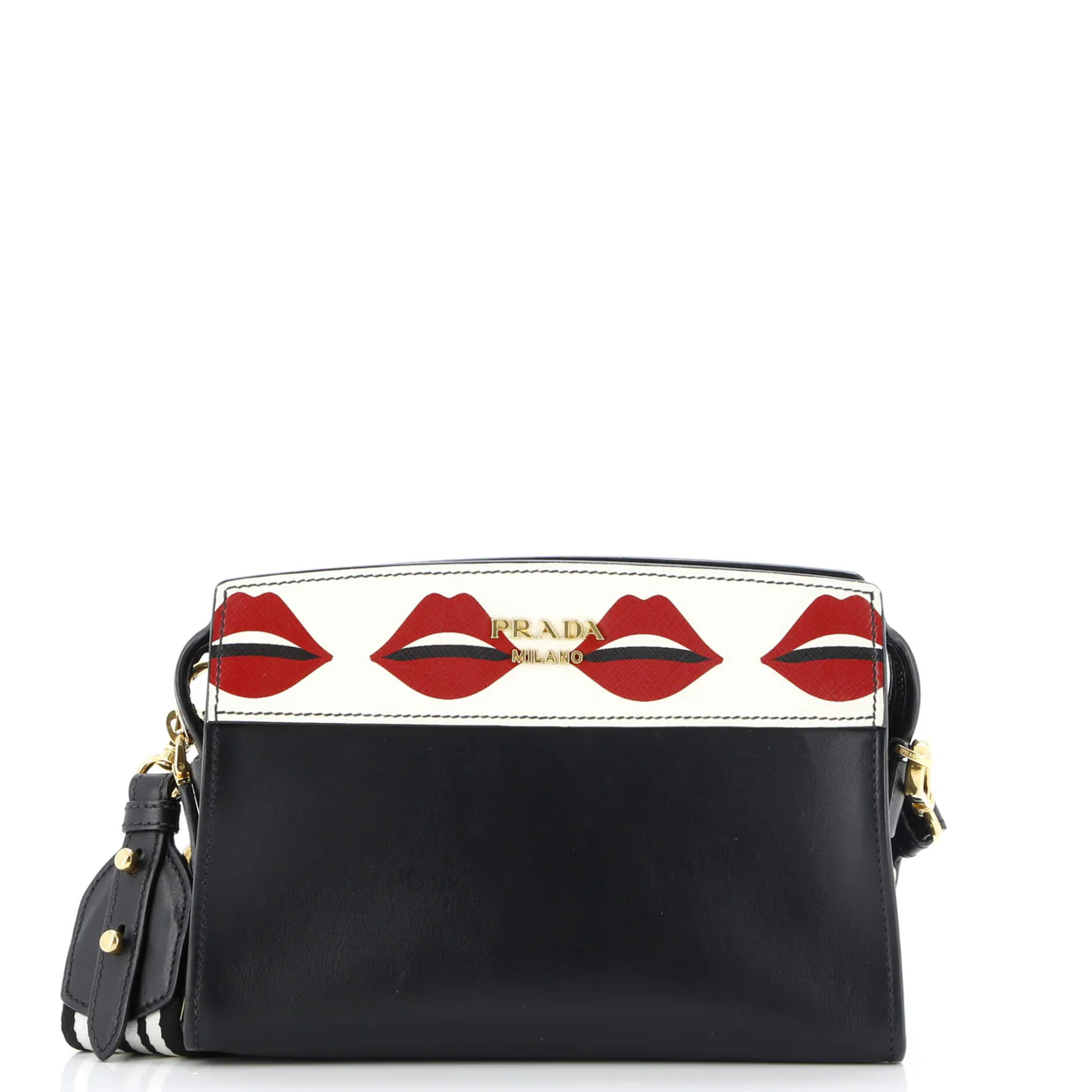 Esplanade Crossbody Bag Printed Saffiano and City Calf Small - Deep Luxury