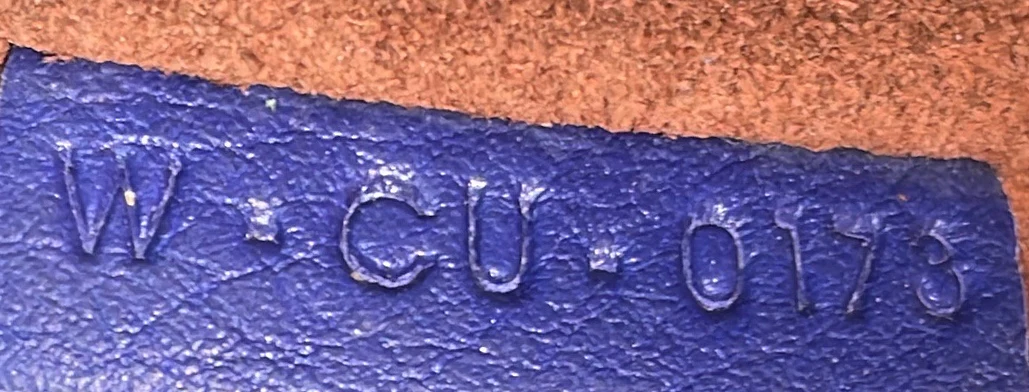 Phantom Bag Grainy Leather Medium - Deep Luxury