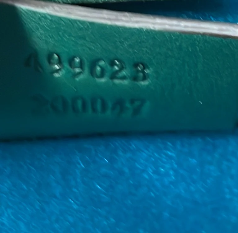 Dionysus Bag GG Velvet Mini - Deep Luxury