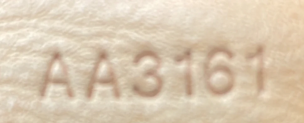 Speedy Bandouliere Bag Monogram Canvas 40 - Deep Luxury