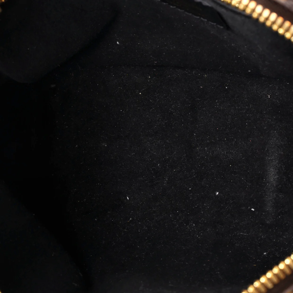 Petite Malle Souple Handbag Monogram Canvas - Deep Luxury