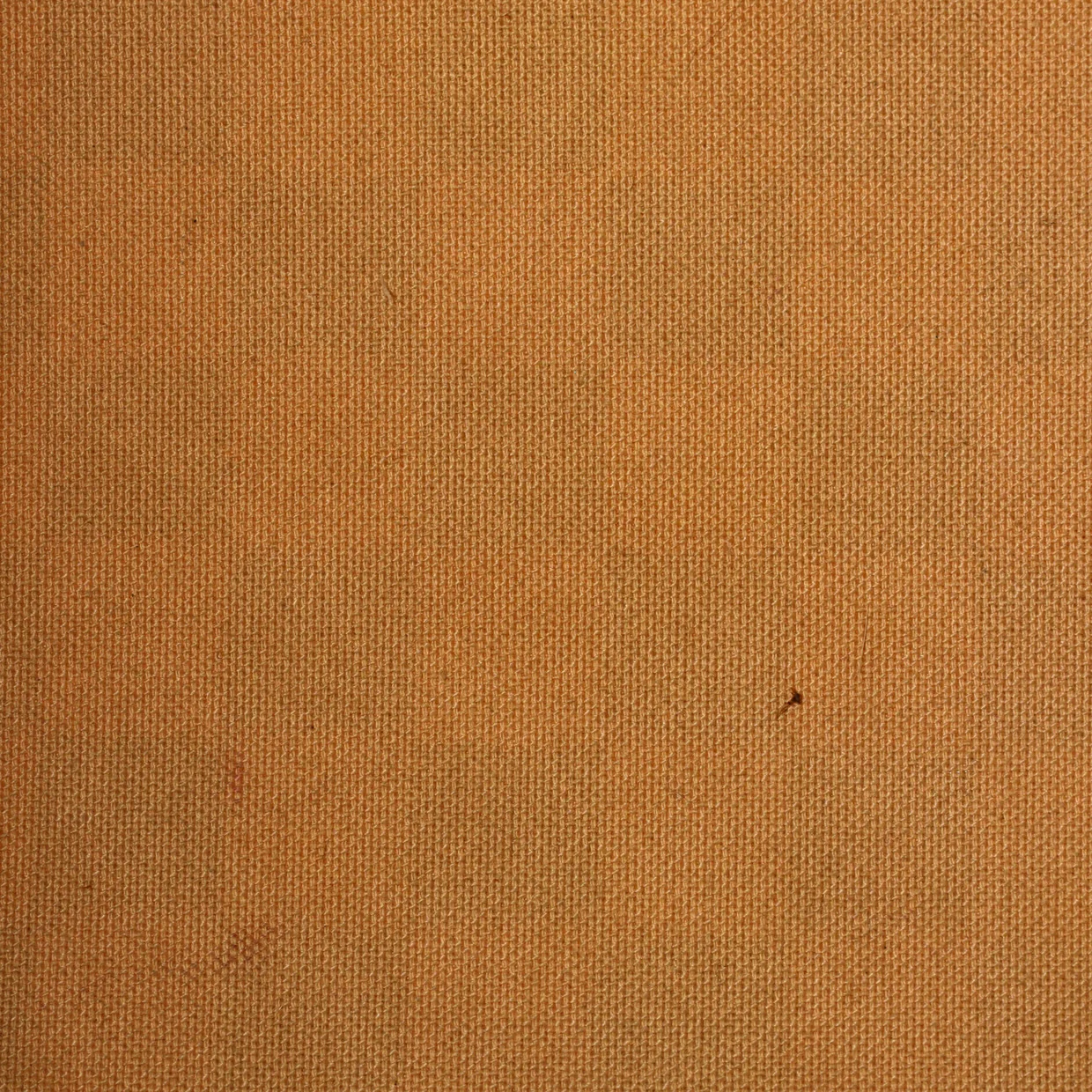 Speedy Handbag Damier 30 - Deep Luxury