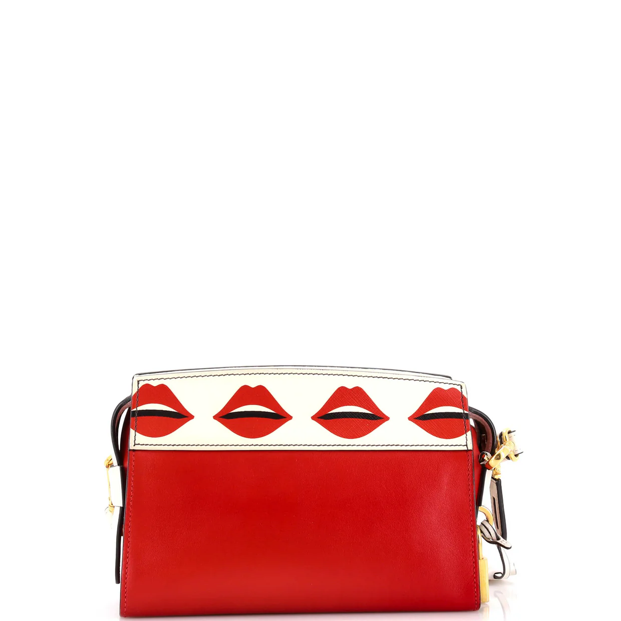 Esplanade Crossbody Bag Printed Saffiano and City Calf Small - Deep Luxury