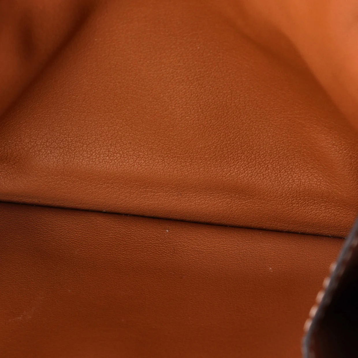 Elan Pocket 24 Belt Bag Swift - Deep Luxury