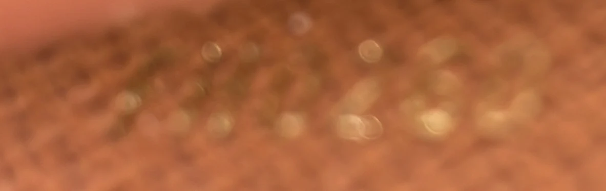 Victorine Wallet Monogram Canvas - Deep Luxury