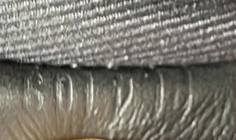 Palm Springs Backpack Monogram Canvas MM - Deep Luxury