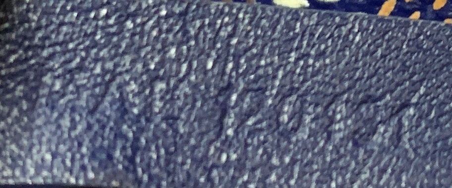 Saint Louis Tote Coated Canvas PM - Deep Luxury