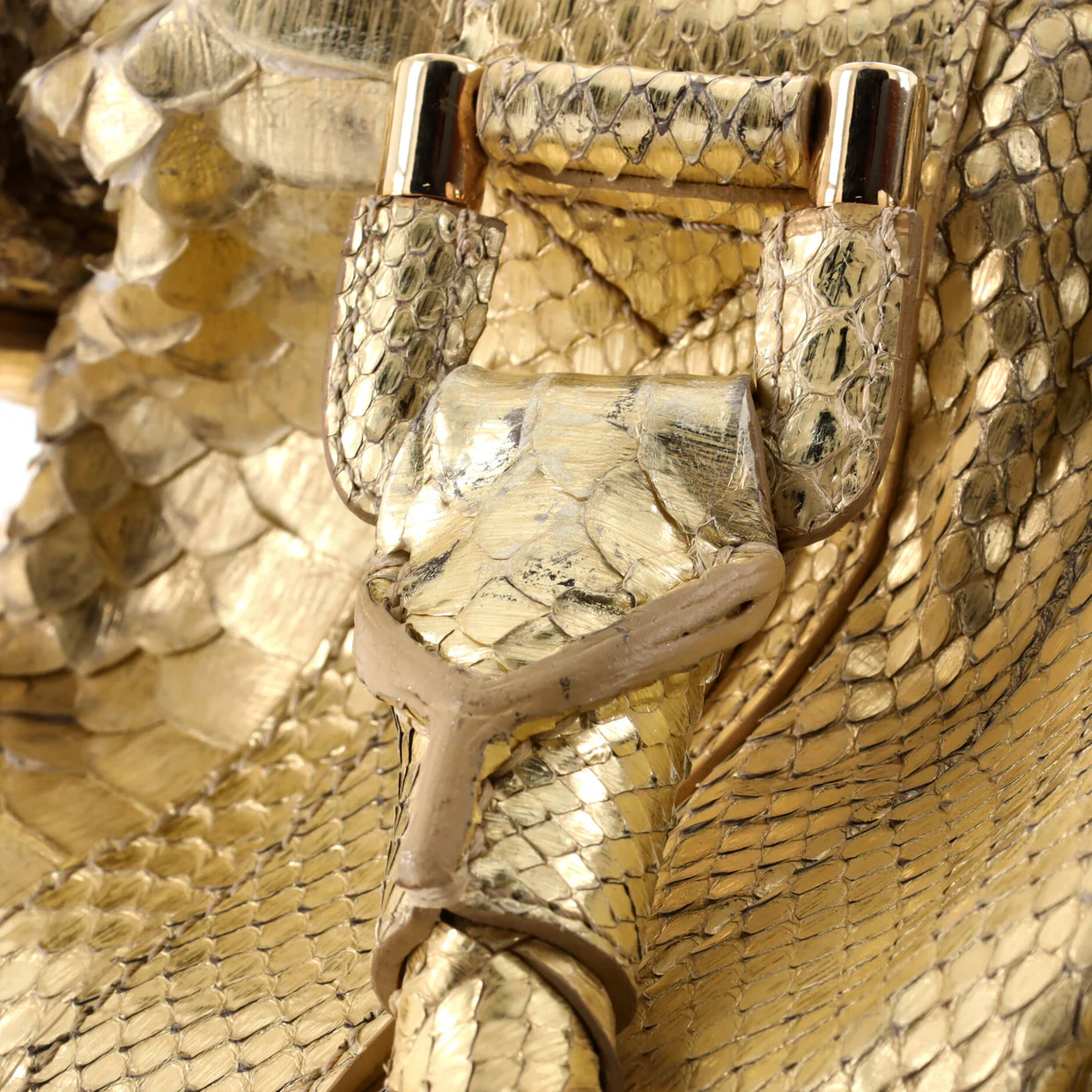 Knight Bag Python Large - Deep Luxury