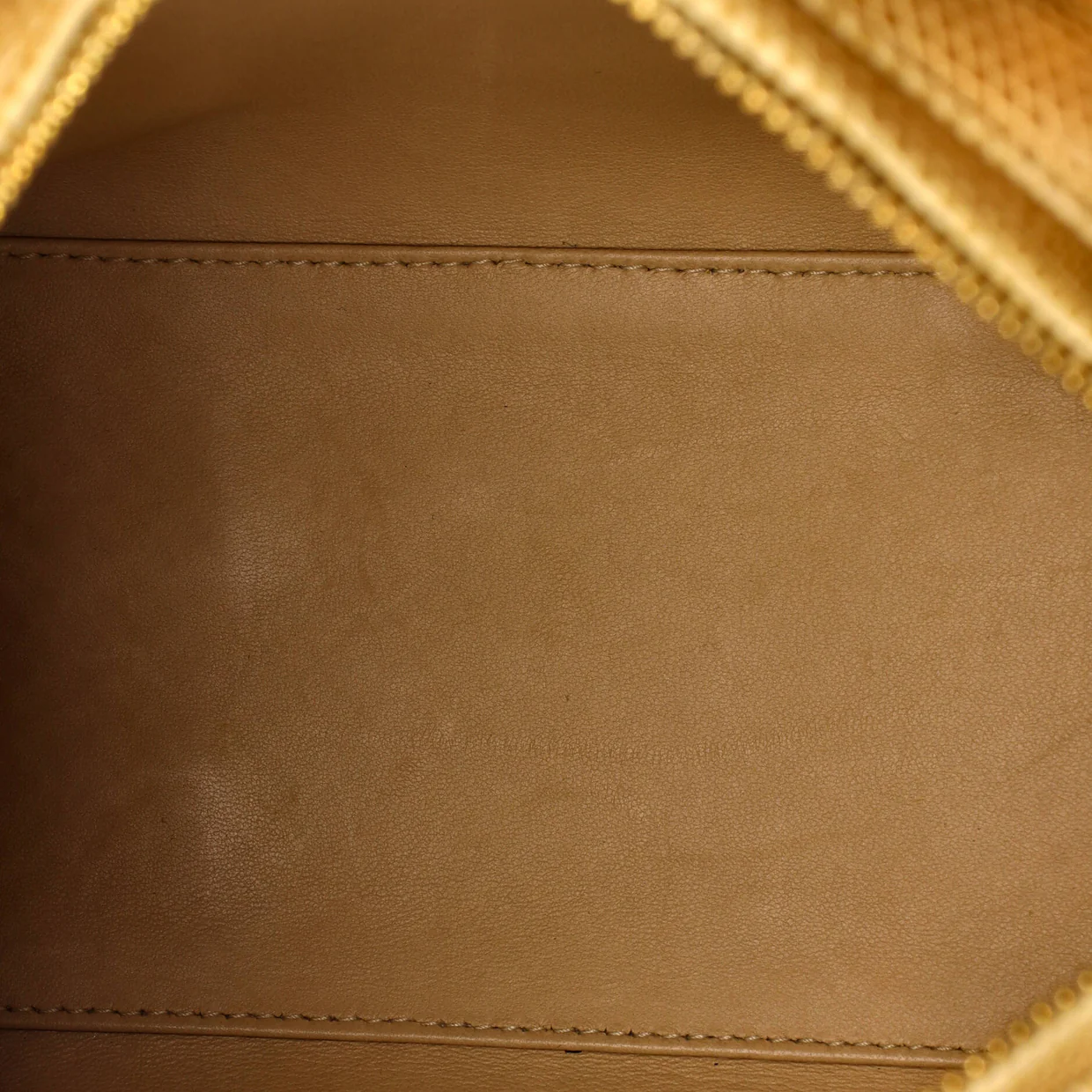 Lady Dior Bag Lizard Medium - Deep Luxury