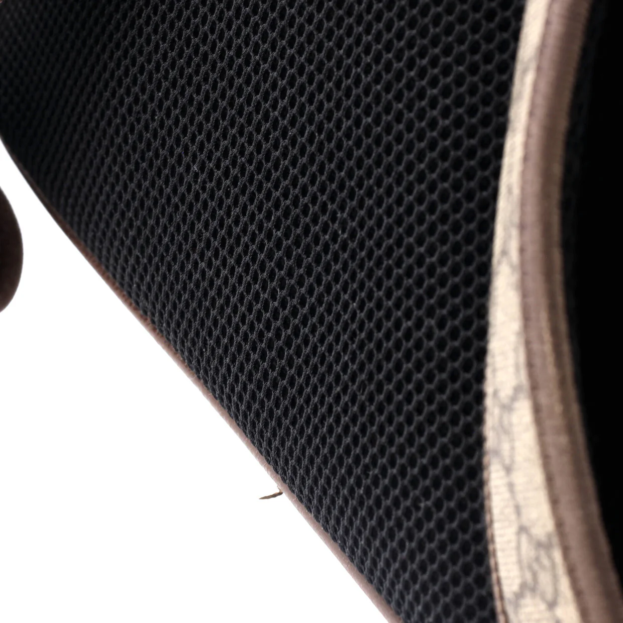 Ophidia Backpack GG Coated Canvas Medium - Deep Luxury